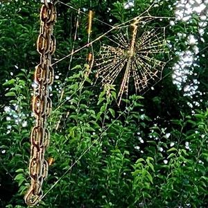 Meet your Posher, Anne